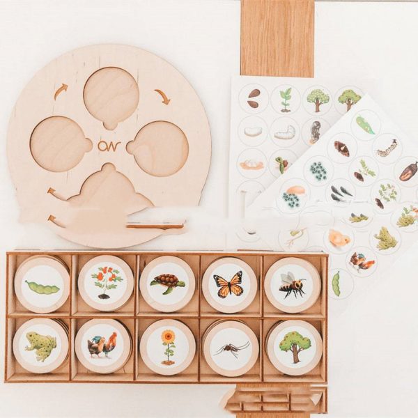 Montessori Life Cycle Tray Play Set